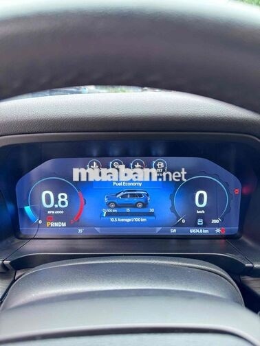 Ford Everest 2 cầu 2024