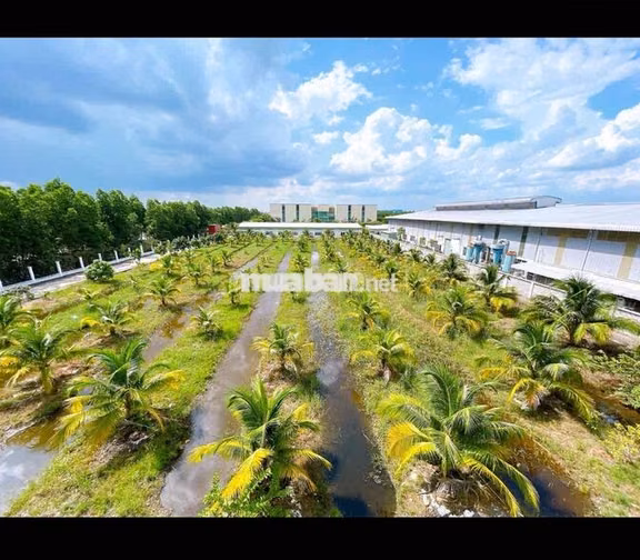 Bán Kho Xưởng KCN Phú An Thạnh, Bến Lức , Long An