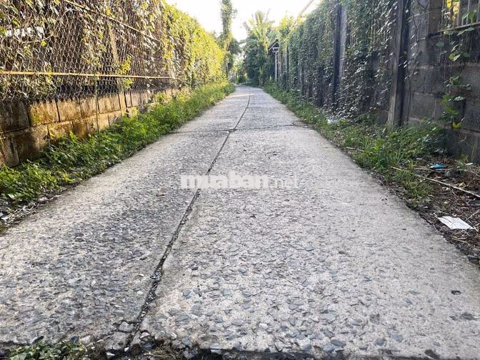 BÁN NHÀ GÓC 2 MẶT TIỀN 426M² – TRUNG TÂM TÂN TÚC, BÌNH CHÁNH – GIÁ 6,5