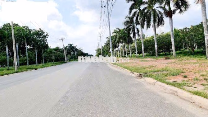 Cho thuê kho Xưởng đẹp 3.5 usd ,4.000m mặt tiền KCN Hải Sơn, Đức Hoà