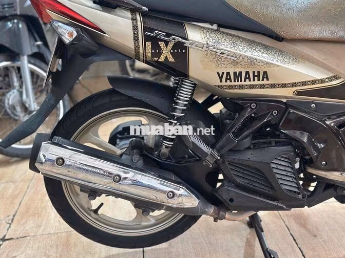 Yamaha Nouvo LX Nâu, Vàng đồng
