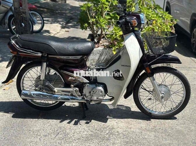 Honda Super Dream 2012 Nâu, Trắng