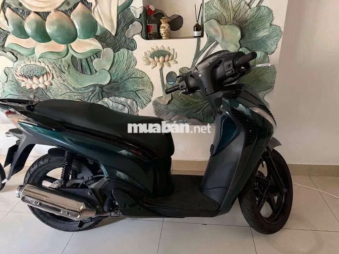 Honda SH Xanh Xe tay ga, sh ý