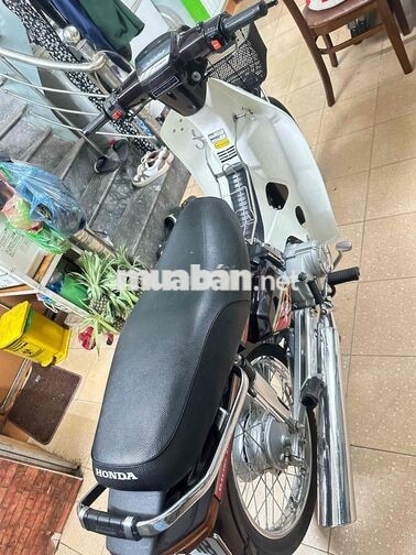 Honda Dream II Cổ điển Nâu, trắng