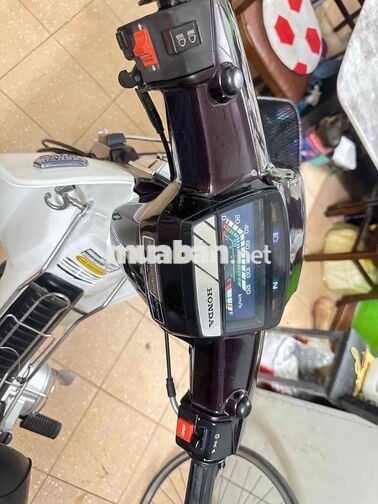 Honda Dream II Cổ điển Nâu, trắng