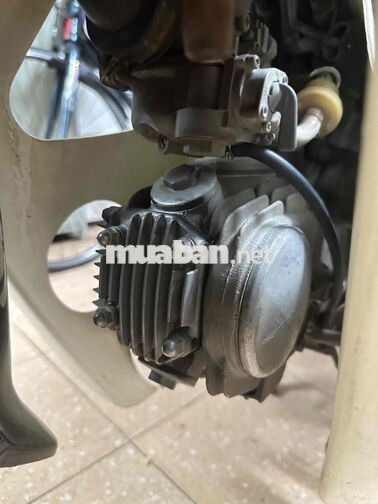 Honda Dream II Cổ điển Nâu, trắng