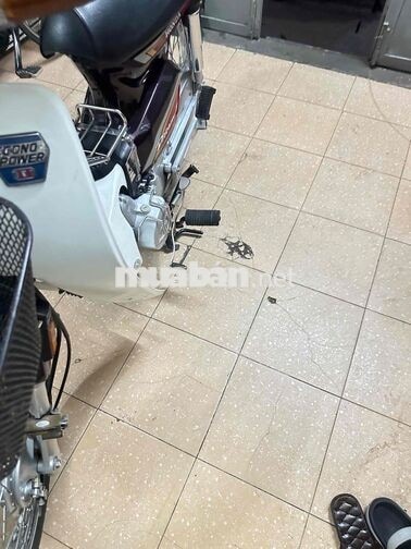 Honda Dream II Cổ điển Nâu, trắng