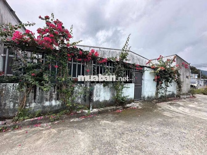 Bán Nhà 3 Mặt Tiền Phước Lộc Phước Đồng Nha Trang Ngang 7.5m Sổ Riêng