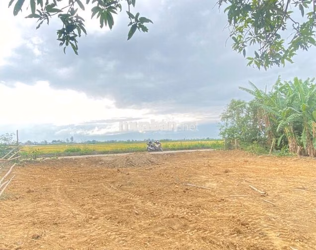 BÁN ĐẤT THỔ CƯ  5  x 18,5m Thị xã Điện Bàn, Đà Nẵng. Giá 390tr.