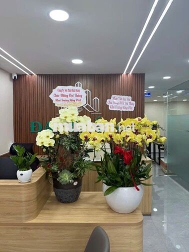 NHÂN VIÊN KINH DOANH BĐS