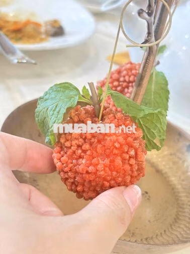CHO THUÊ 2 SẠP CHỢ THIẾC (Q.11) – VỊ TRÍ ĐẸP GẦN MẶT TIỀN & KHU TIỆM V