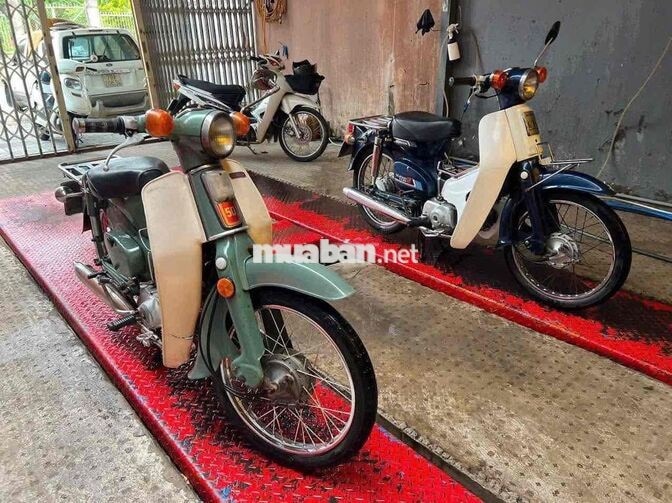 Honda Cub Dame 50cc Xanh 50cc KHÔNG BẰNG LÁI