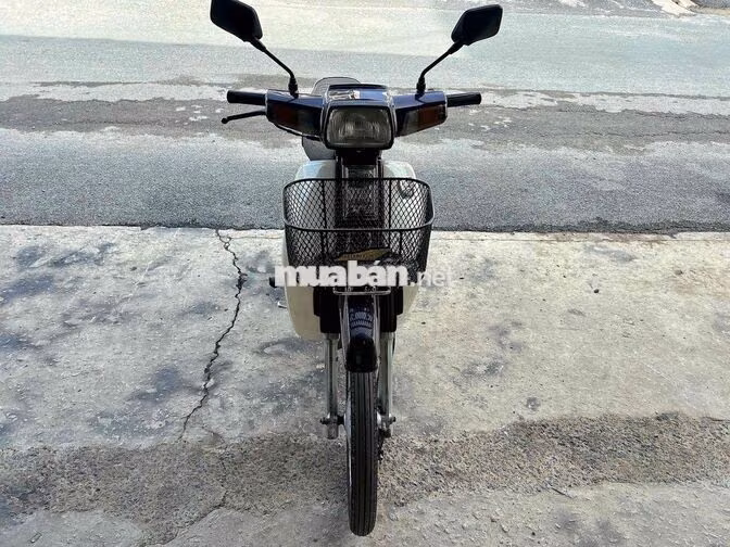 Honda Dream Trắng, Nâu Japan