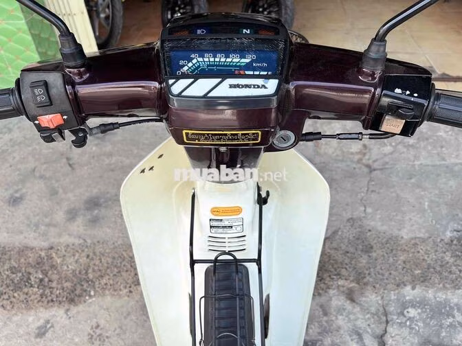 Honda Dream Trắng, Nâu Japan