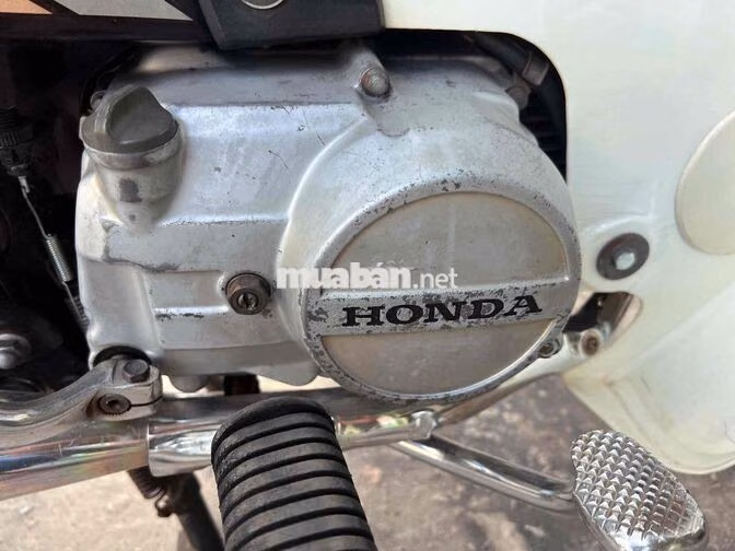 Honda Dream Trắng, Nâu Japan
