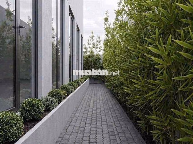 studio ban công full nt cao cấp