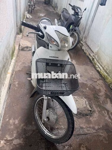 wawae 100ccc