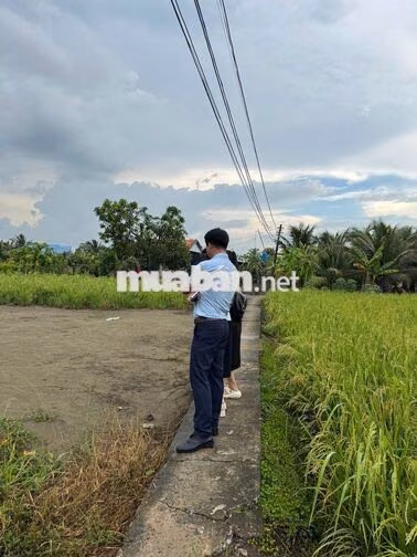 Cần bán gấp đất nền thổ cư chính chủ tại Tây Ninh ( Long An cũ)
