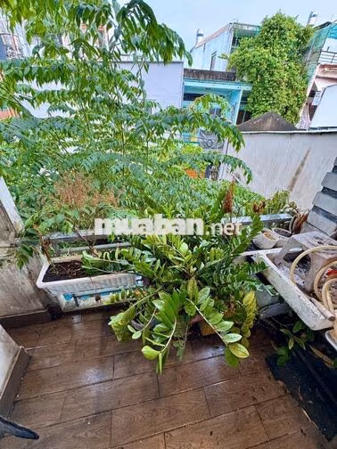BÁN NHÀ PHƯỜNG 11 GÒ VẤP - DTCN 30M2 GIÁ 3T (THƯƠNG LƯỢNG)
