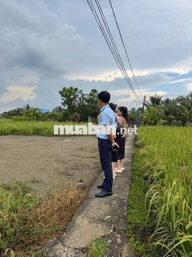 Cần bán gấp đất nền thổ cư chính chủ tại Tây Ninh ( Long An cũ)