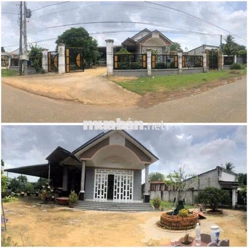 Bán gấp Đất có nhà kiên cố, 1202m2, 200m2 thổ cư, Tân Đông, Tây Ninh.