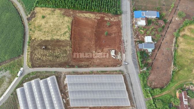 MẶT TIỀN ĐT997 - ĐÓN ĐẦU CAO TỐC LT-HC - CHỈ 1 TỶ 038