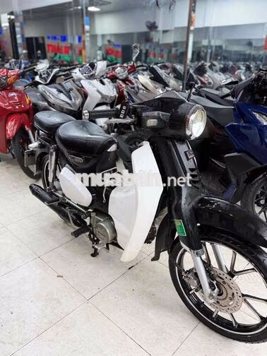 Honda Cup 50cc 2022 Trắng Số tự động