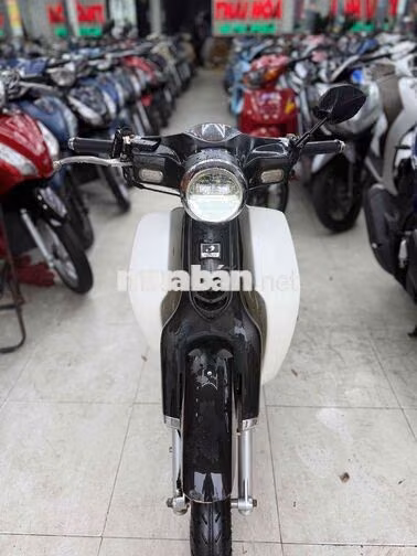 Honda Cup 50cc 2022 Trắng Số tự động