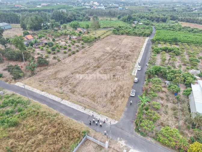  BÁN NHANH 8 LÔ ĐẤT MỖI LÔ NGANG 8M  GIÁ HIẾM KHU VỰC HỒ TRÀM