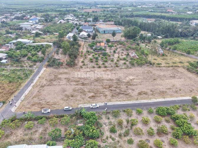  BÁN NHANH 8 LÔ ĐẤT MỖI LÔ NGANG 8M  GIÁ HIẾM KHU VỰC HỒ TRÀM