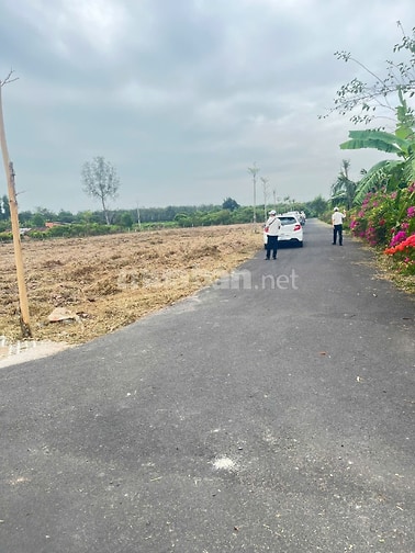  BÁN NHANH 8 LÔ ĐẤT MỖI LÔ NGANG 8M  GIÁ HIẾM KHU VỰC HỒ TRÀM