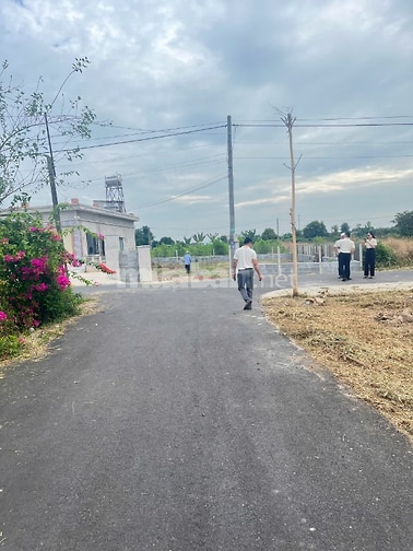  BÁN NHANH 8 LÔ ĐẤT MỖI LÔ NGANG 8M  GIÁ HIẾM KHU VỰC HỒ TRÀM