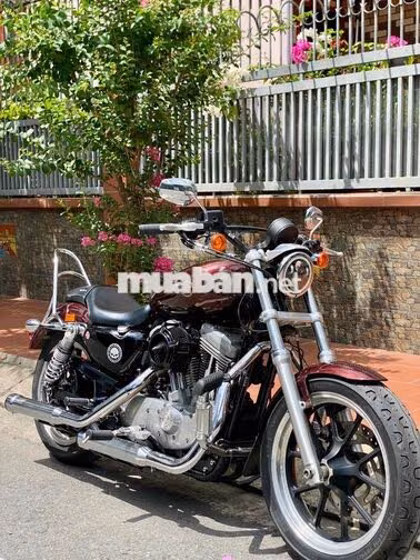 Harley Davidson Super Low 883 2019 Đỏ mận
