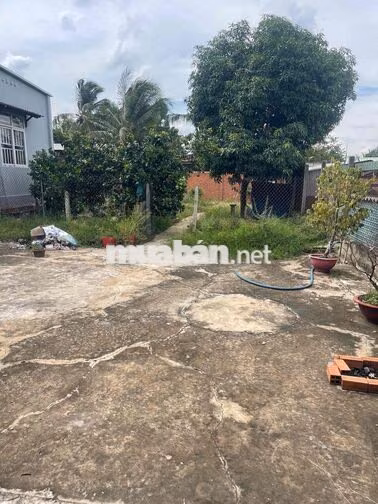 Cho Thuê Mặt Bằng Kinh Doanh Giá Rẻ, Rộng Rãi Mặt Tiền Nhựa Lớn