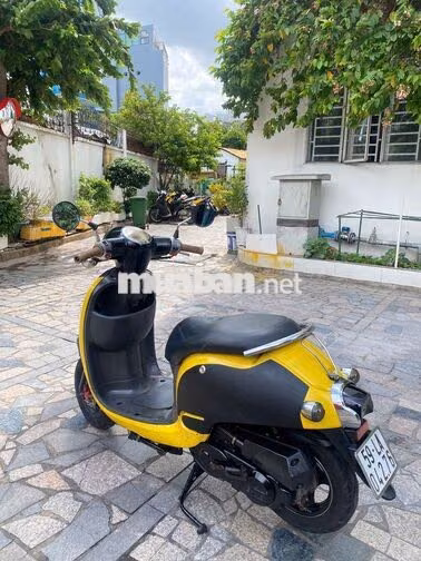 Honda Scoopy 50cc