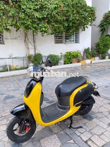 Honda Scoopy 50cc