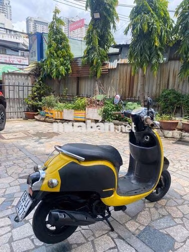Honda Scoopy 50cc