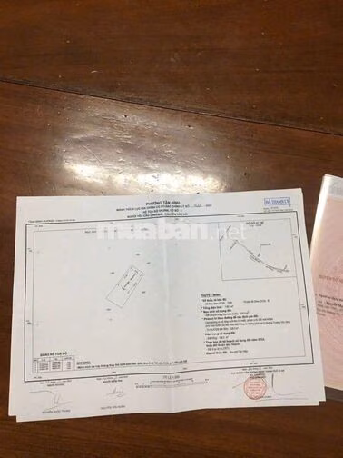bán đất vườn f Tân Đông hiệp T/p HCM 