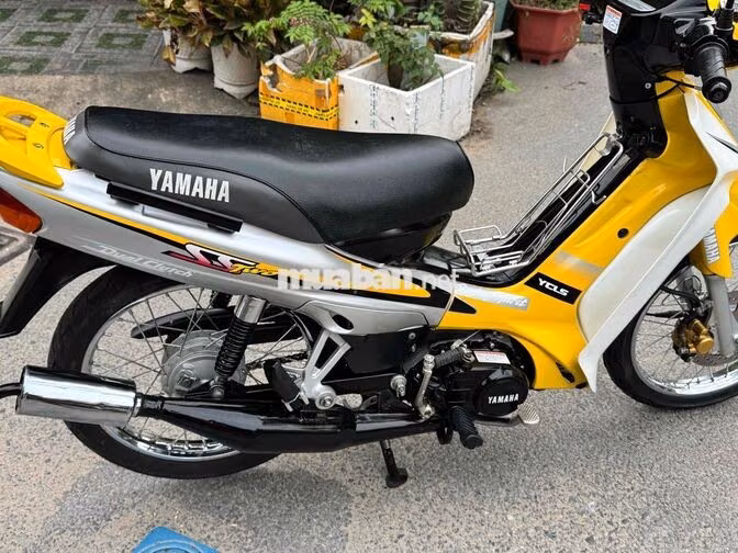 Yamaha Yass 110 Bán tự động Vàng, Trắng