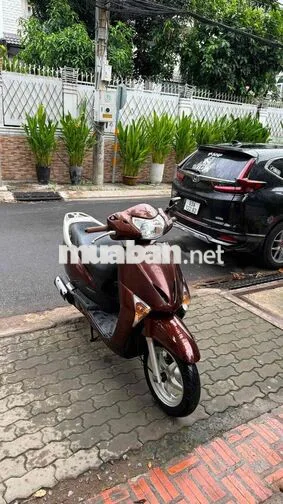 Honda Lead 125 2013 Nâu