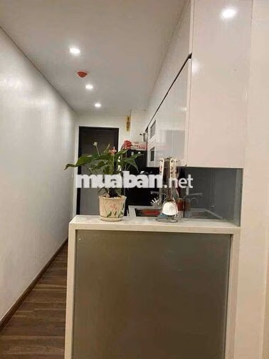 🏠 CHO THUÊ CHUNG CƯ ECOCITY VIỆT HƯNG