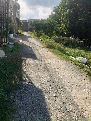 Chính chủ cần bán 1500m2 đất cây lâu năm tại đường sư đoàn 9, vĩnh lộc