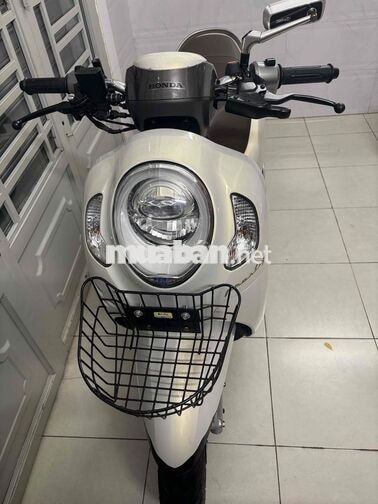 Honda Scoopy 2024 Xe tay ga
