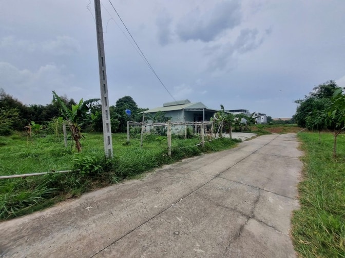 Nhà mái thái 200m² thổ cư. 3 phòng ngủ. 2,789 tỷ 