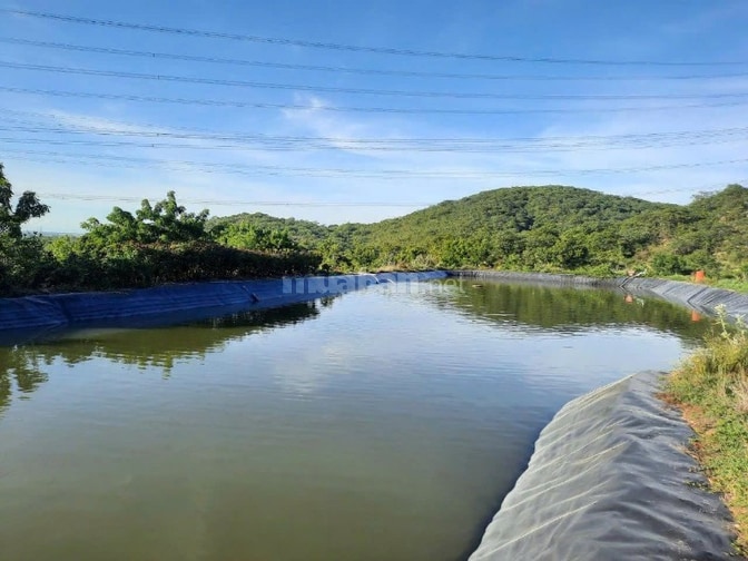 CHÍNH CHỦ CẦN TIỀN HẠ GIÁ BÁN TRANG TRẠI 17.7 Ha TẠI XÃ PHÚ LẠC, TUY P