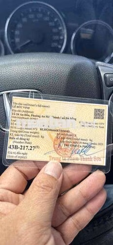 Honda City 2019 Top Xanh Xe gia đình