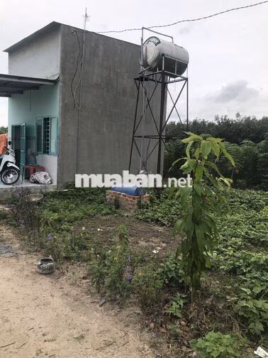 Cần bán căn nhà vườn Chợ An Cơ, Châu Thành ,Tây Ninh giá rẻ