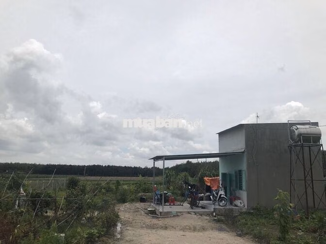 Cần bán căn nhà vườn Chợ An Cơ, Châu Thành ,Tây Ninh giá rẻ