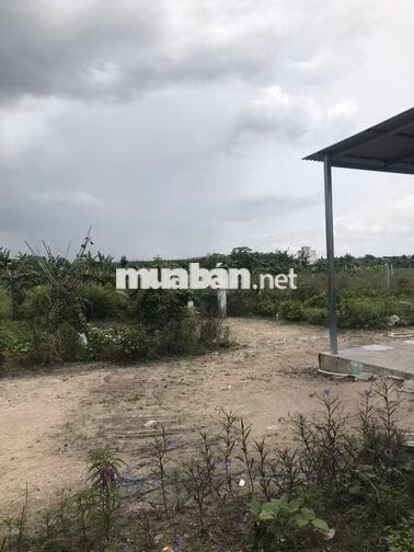 Cần bán căn nhà vườn Chợ An Cơ, Châu Thành ,Tây Ninh giá rẻ