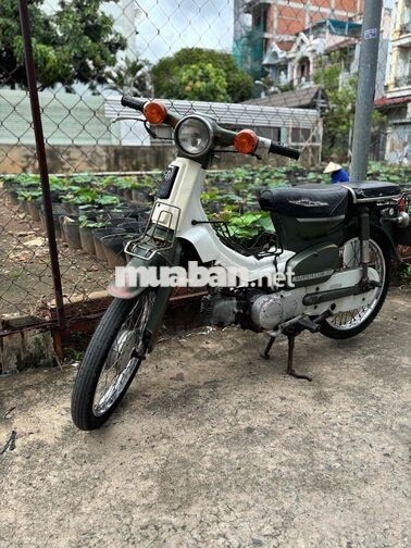 Honda Cub 81/50 Chính Chủ , Kim Vàng Giọt Lệ